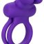 13672_PURPLE_01.jpg
